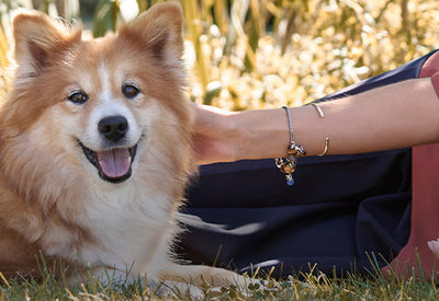 Model das Trollbeads Schmuck trägt und mit Hund auf einer Wiese liegt