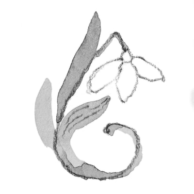 Schneeglöckchen - Januar Armband TAGBO-00653