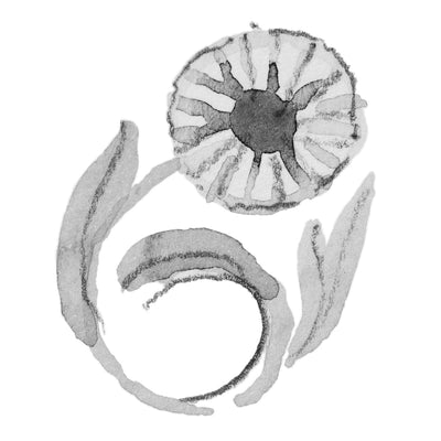 Gänseblümchen - April Armband TAGBO-00673