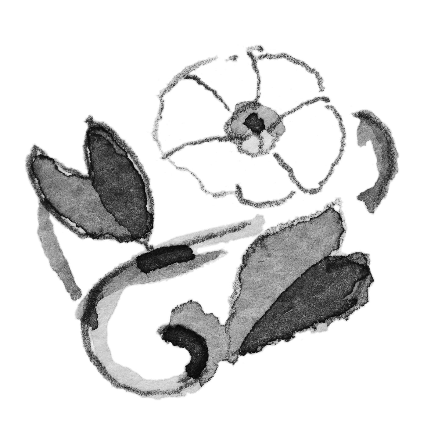 Bindekraut - September Armband TAGBO-00688