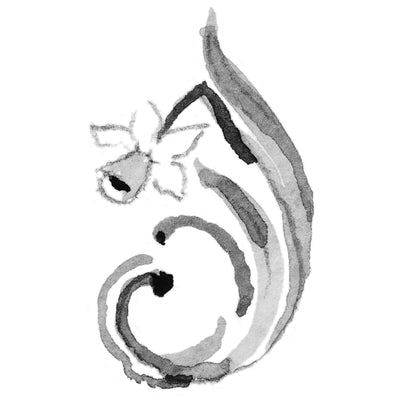 Narzisse - Dezember Armband TAGBO-00697