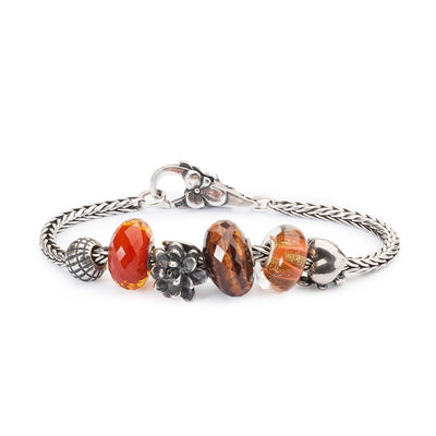 Rotes Tigerauge