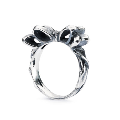 Schleifen Ring